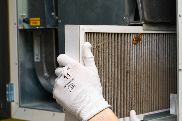 Best Ductwork Cleaning Services  in St George, SC
