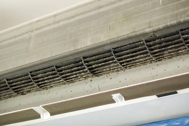 Best Emergency Air Duct Cleaning  in St George, SC